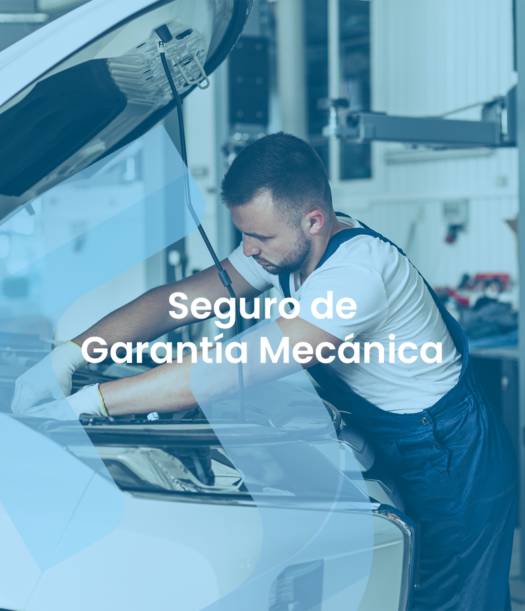 Seguro de garantia mecanica